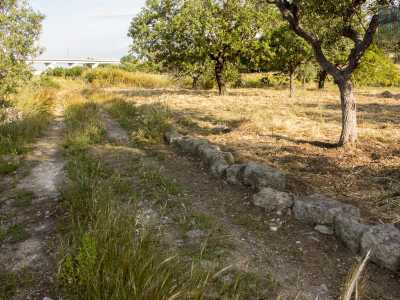 ..tra questi la strada romana chiamata �Tre Passi�, che come ci dice l�esperto del territorio Nicola De Toma, �rappresentava un collegamento con la via Minuncia, a sua volta una diramazione della via Traiana�